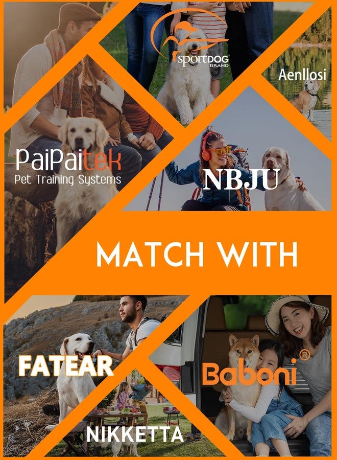 باي باي تيك حزام بديل لطوق الصدمات من بايبايتك مع حلقة معدنية، نايلون عاكس، أسود/برتقالي، 3/4 بوصة × 28 بوصة، متوافق مع العديد من أطواق التدريب، عبوتان - Image 4