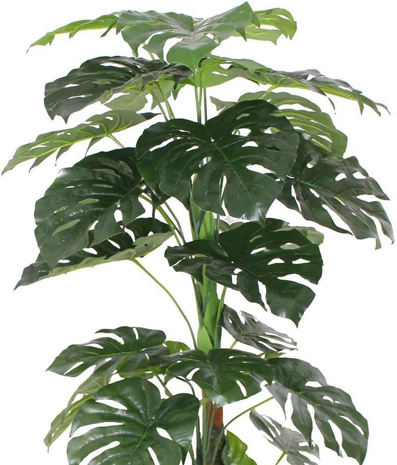 AMERIQUE 57 Gorgeous  Unique Feet Monstera Palm Artificial Plant Silk Tree Real Touch Technology with UV Protection Super Quality Green - Image 2