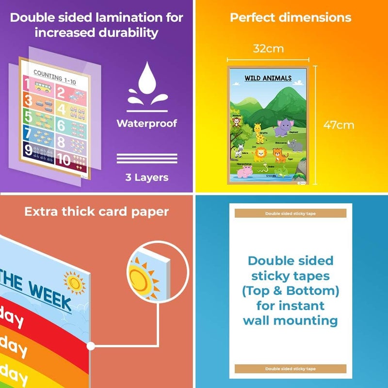 ESSEN Educational Preschool Posters Learning Charts Resources For Kids Toddlers Alphabets, Numbers, Shapes, Colors, Animals, Months Of Year, Days Of Week, Emotions, Fruits, Body Parts&more-Set of 12 - Image 4