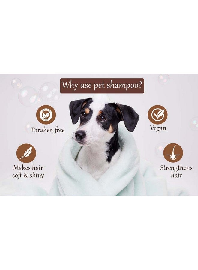 PET Naturally Organic Oh My Dog Paraben Free Ultimate Pet Shampoo Shiny and Soft Fur for Puppies and Dogs (De-Tangling, 500ml) - Image 2