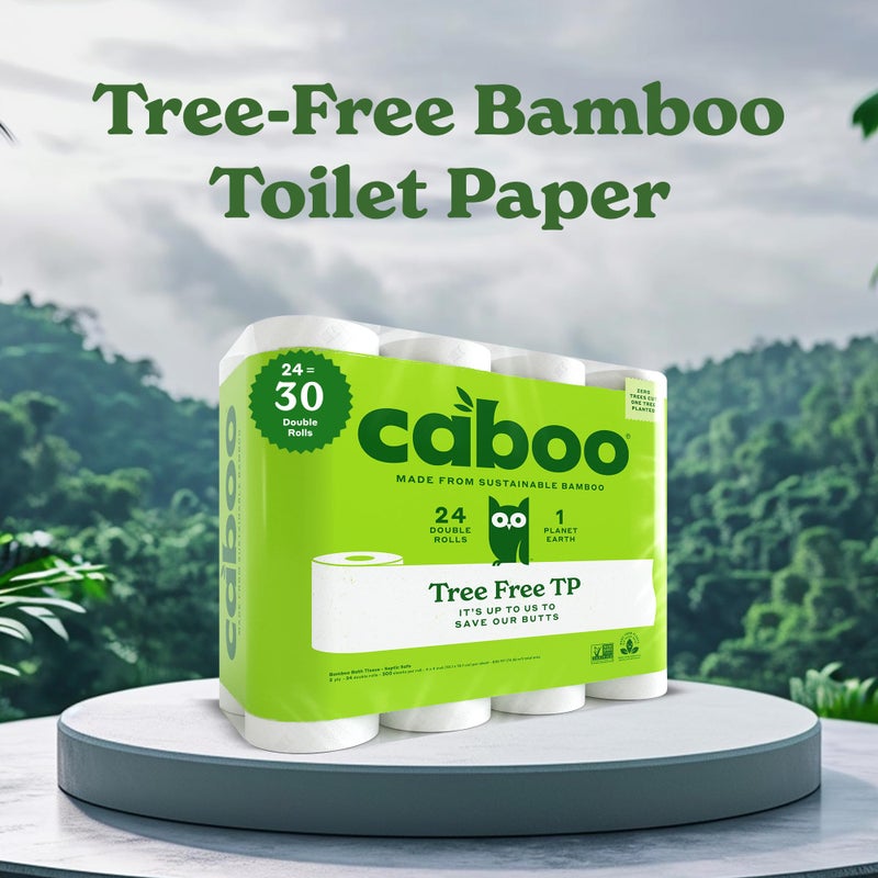 Caboo Tree Free Toilet Paper | Septic Safe, Eco Friendly, Chemical Free, Non Toxic | 2 Ply Toilet Tissue, Pack of 24 Double Rolls, 300 Sheets Per Roll - Image 3