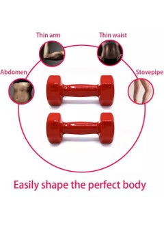 Double Dumbbells Vinyl Hexagon Hand Weights For Muscle Training 1KG, Red - pzsku/ZD980EBD28DB5174D8B5FZ/45/_/1719926568/c20c2b0e-7143-4fae-a19b-34003c716518