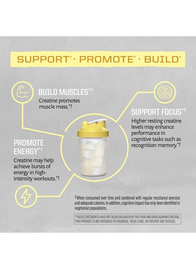 Sunwarrior Creatine Monohydrate Powder Micronized PreWorkout Recovery Supplement | Support Muscle Building Strength Training Cognition | Vegan & Keto Friendly, Easily Mixes (50 Servings) Lemonade Active Creatine  - Image 3