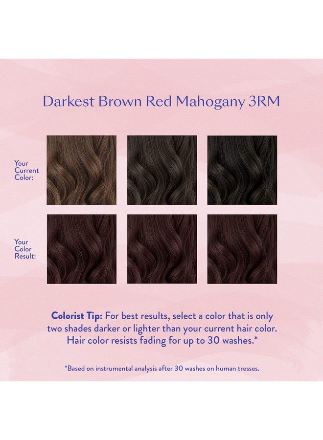 esalon Permanent Hair Color & Hair Dye Complete Kit Darkest Brown Red Mahogany Personal Colorist Kit For Up To 100% Gray Coverage For All Hair Types Professionalgrade Ammoniafree Hair Dye - Image 5