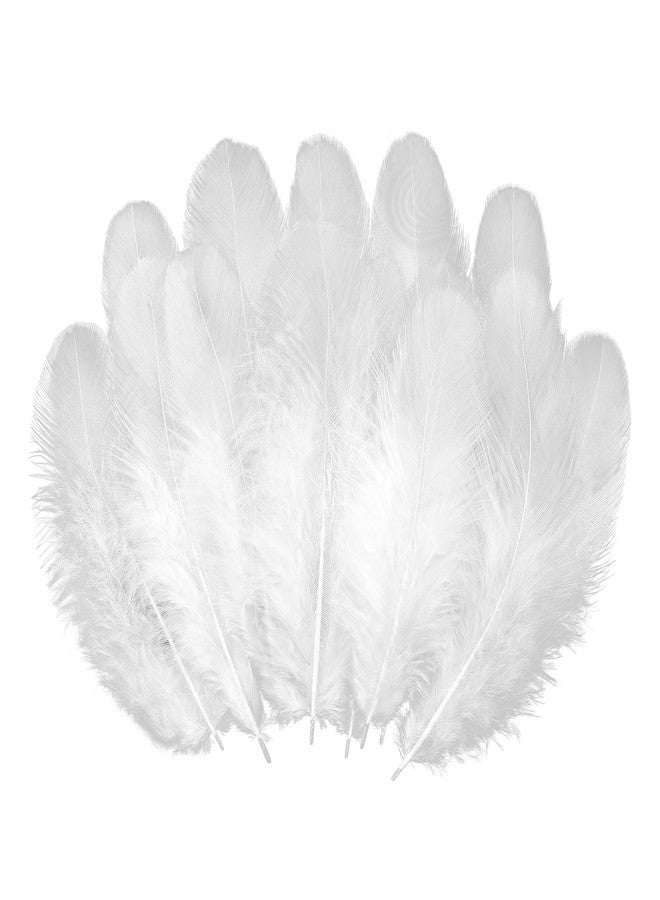 whitefeather Colorful Craft Rooster Feathers 900pcs 3-5inch Colored Bulk Feathers Natural Feathers for Crafting Kindergarten DIY Crafts,Home Wedding Party Decoration,Dream Catcher Supplies (White) - Image 1