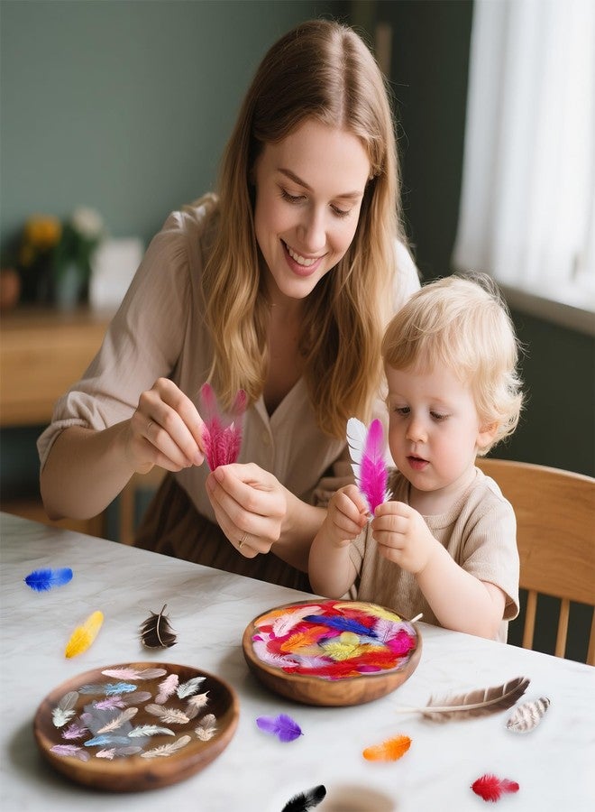 whitefeather Colorful Craft Rooster Feathers 900pcs 3-5inch Colored Bulk Feathers Natural Feathers for Crafting Kindergarten DIY Crafts,Home Wedding Party Decoration,Dream Catcher Supplies (White) - Image 4