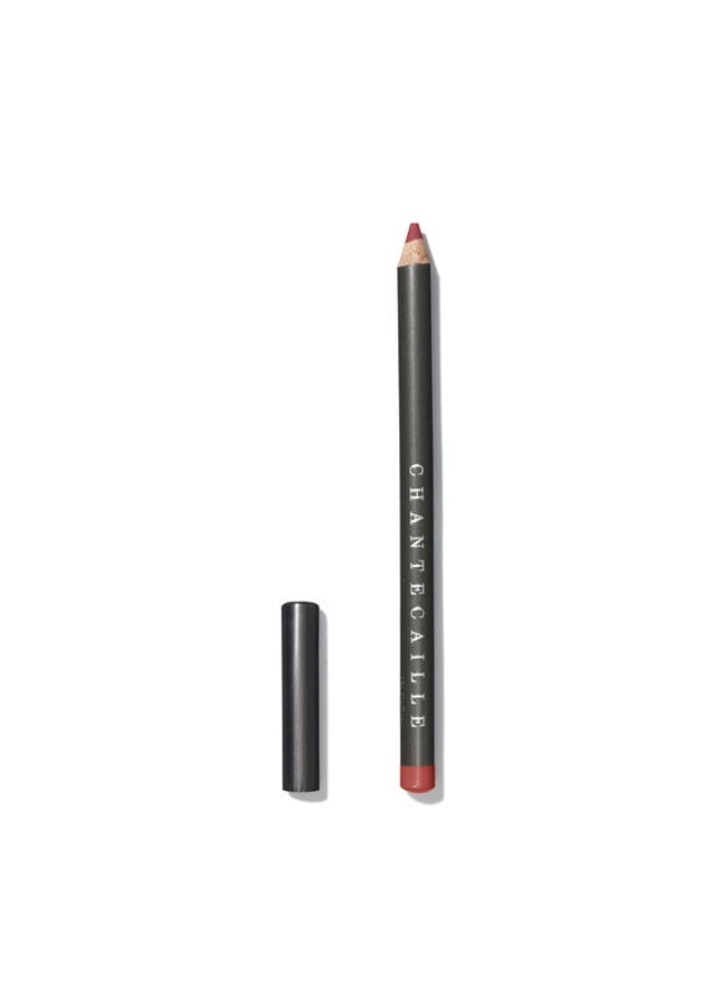 Chantecaille Lip Definers desire 2g - Image 3