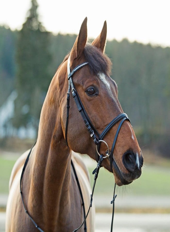 HORZE Weston Padded Leather Snaffle Bridle with Flash Noseband and Web Reins | English Bridle for Horses - Black - Horse - Image 3