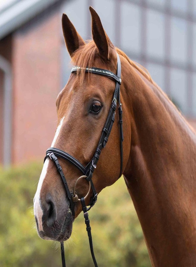HORZE Weston Padded Leather Snaffle Bridle with Flash Noseband and Web Reins | English Bridle for Horses - Black - Horse - Image 4