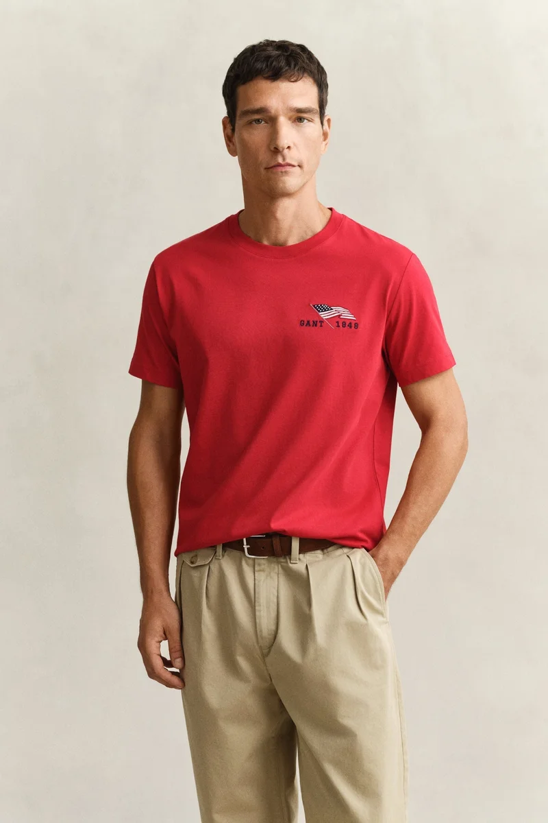 Graphic Short SleeveTshirt