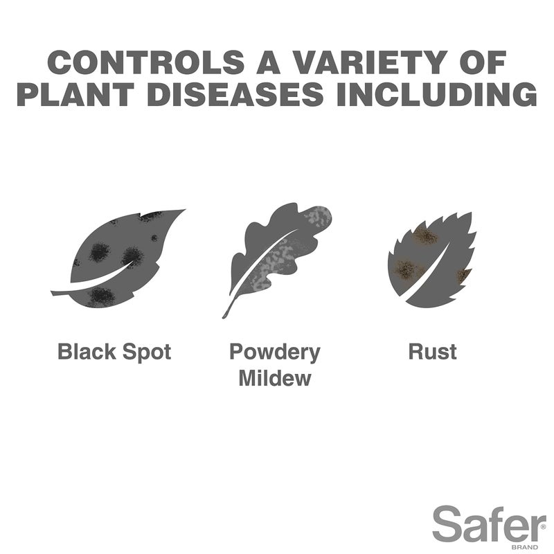 Safer علامة سيفر 5182-6 مركز زيت النيم مبيد حشري، مبيد للعناكب، مبيد فطري للنباتات - يقضي على الحشرات والعناكب وي Controls الأمراض الفطرية - مدرج في OMRI للاستخدام العضوي - Image 3
