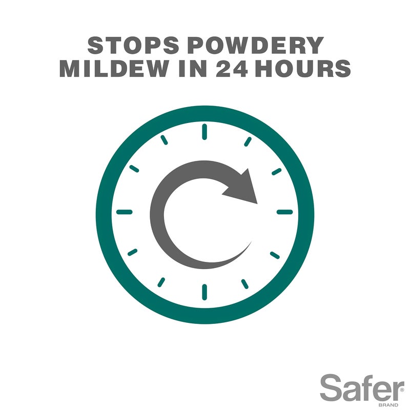 Safer علامة سيفر 5182-6 مركز زيت النيم مبيد حشري، مبيد للعناكب، مبيد فطري للنباتات - يقضي على الحشرات والعناكب وي Controls الأمراض الفطرية - مدرج في OMRI للاستخدام العضوي - Image 5