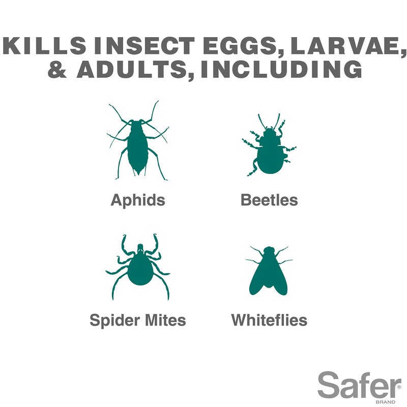 Safer علامة سيفر 5182-6 مركز زيت النيم مبيد حشري، مبيد للعناكب، مبيد فطري للنباتات - يقضي على الحشرات والعناكب وي Controls الأمراض الفطرية - مدرج في OMRI للاستخدام العضوي - Image 4