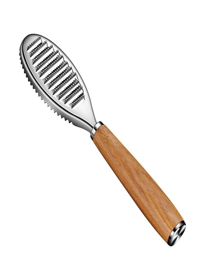 PACKOVE Fish Scaler Brush Stainless Steel Fish Scaler Remover Sawtooth Fish Scale Remove Tool for Kitchen Fish Cleaning Brush Scraper Kitchen Gadgets Accessories - Image 1