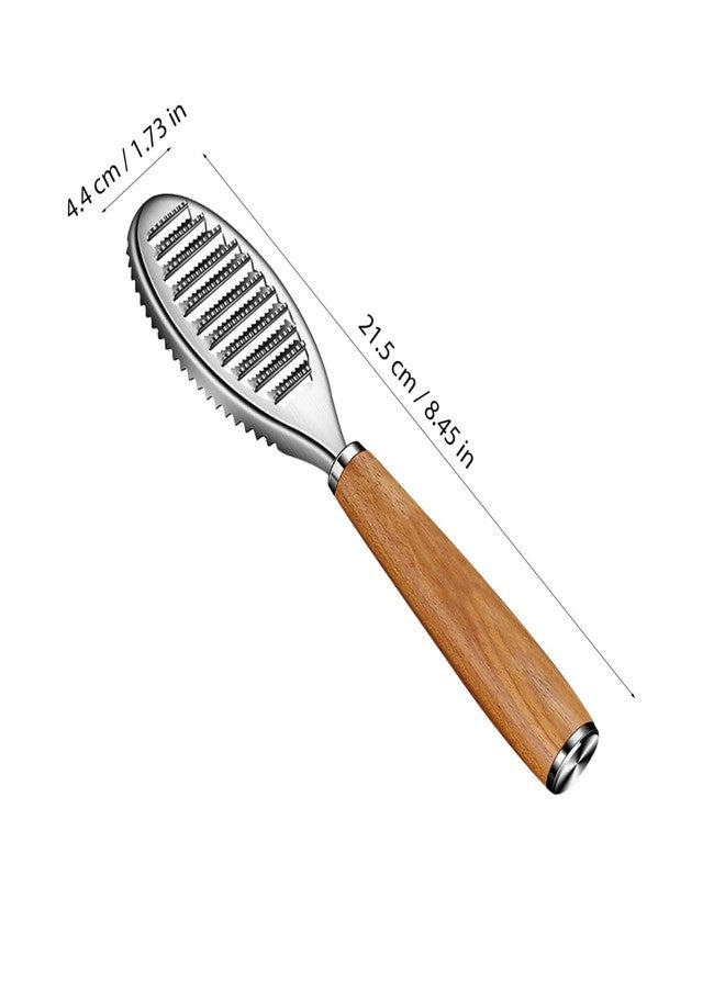 PACKOVE Fish Scaler Brush Stainless Steel Fish Scaler Remover Sawtooth Fish Scale Remove Tool for Kitchen Fish Cleaning Brush Scraper Kitchen Gadgets Accessories - Image 2