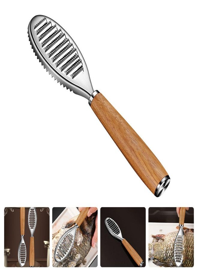 PACKOVE Fish Scaler Brush Stainless Steel Fish Scaler Remover Sawtooth Fish Scale Remove Tool for Kitchen Fish Cleaning Brush Scraper Kitchen Gadgets Accessories - Image 3
