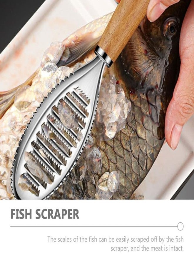PACKOVE Fish Scaler Brush Stainless Steel Fish Scaler Remover Sawtooth Fish Scale Remove Tool for Kitchen Fish Cleaning Brush Scraper Kitchen Gadgets Accessories - Image 5