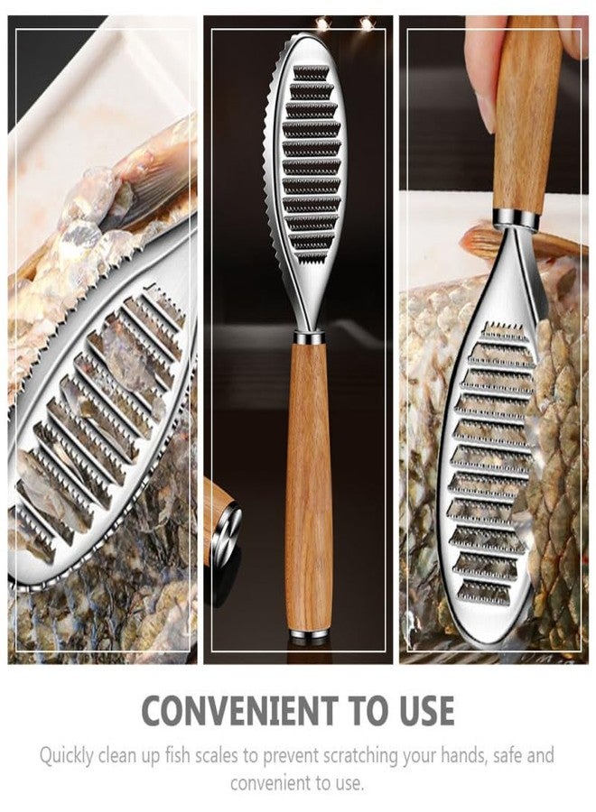 PACKOVE Fish Scaler Brush Stainless Steel Fish Scaler Remover Sawtooth Fish Scale Remove Tool for Kitchen Fish Cleaning Brush Scraper Kitchen Gadgets Accessories - Image 4
