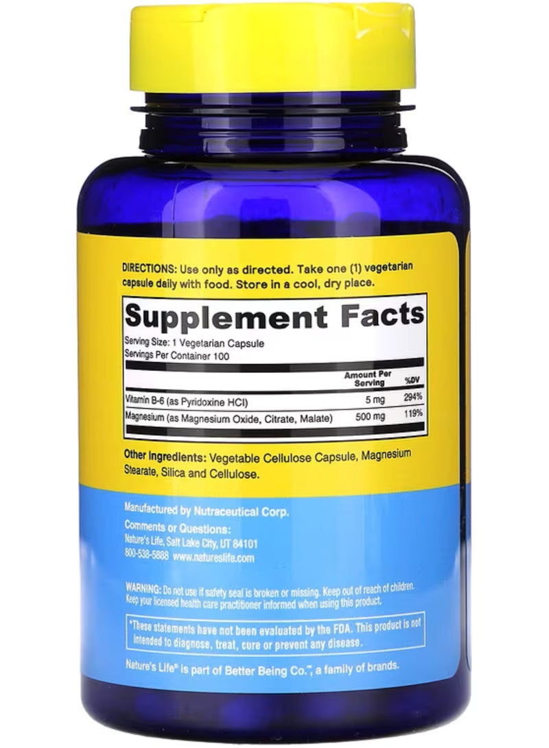 Nature's Life, Renewing Magnesium, 500 mg, 100 Vegcaps - Image 2