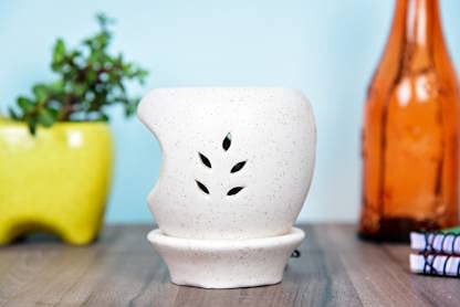 Lyallpur Stores Lyallpur Stores Ceramic Aroma Diffuser White Color Apple Shape Electric Oil Burner with 10 ML Rose Fragrance 3 Oil Free  - Image 1