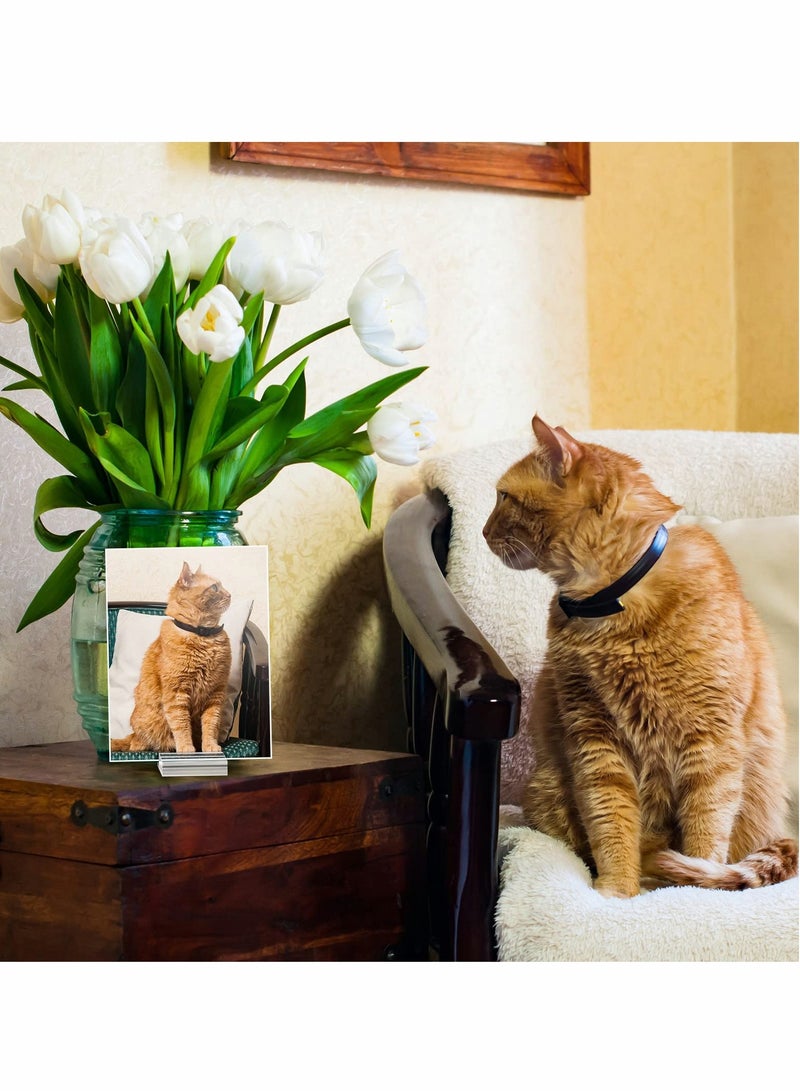 SOLARAE حامل أكريليك، حامل بطاقات مكتب برقم، يحمل بطاقة بحجم 1.2 بوصة حامل بطاقات شفاف لعرض البطاقات لحفلات العشاء والمتاجر والمكاتب وحفلات الزفاف وصور اللوحات وحامل بطاقات العمل (12 قطعة) - Image 5