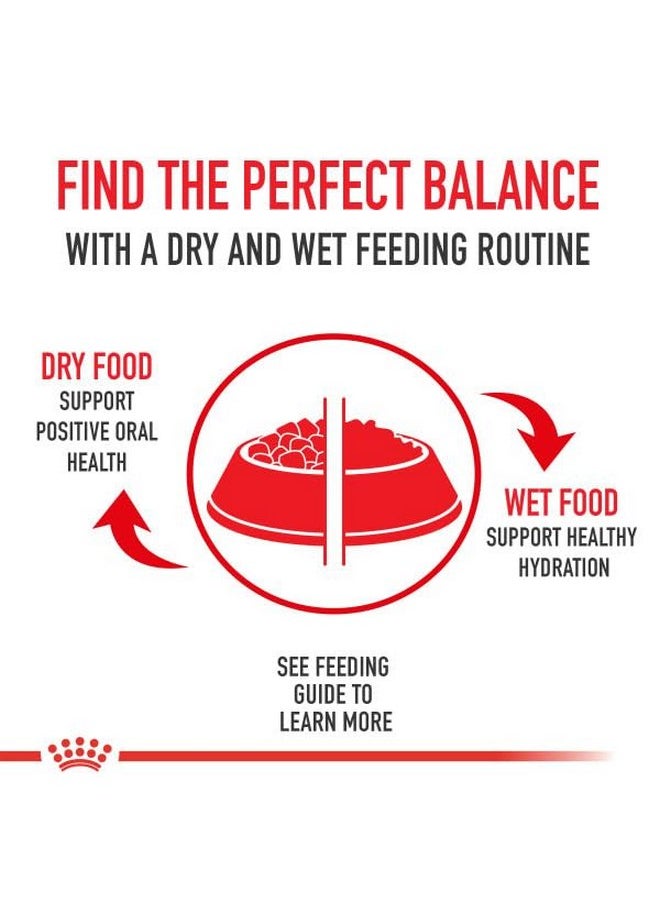 ROYAL CANIN Royal Canin Breed Health Nutrition Pomeranian Adult Loaf in Sauce Canned Dog Food, 3 oz can (4-pack)  - Image 2