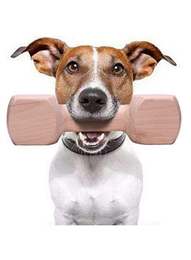 لعبة مضغ الدمبل الخشبية مناسبة للكلاب والجراء من أداة تدريب مصنوعة من الخشب الصلب الطبيعي بنسبة 100% - تحافظ على صحة الأسنان واللثة والعناية بالفم - Image 1