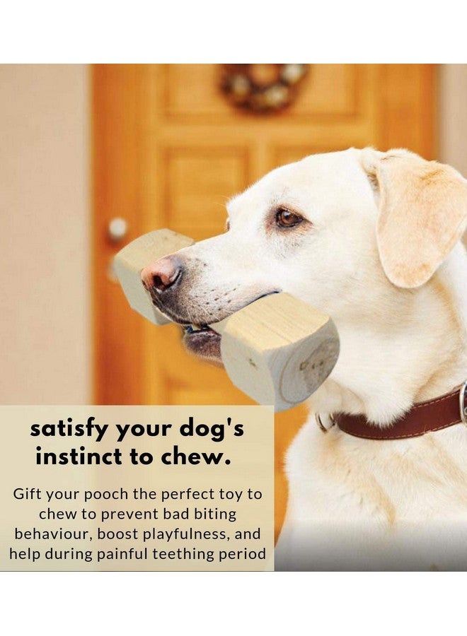 لعبة مضغ الدمبل الخشبية مناسبة للكلاب والجراء من أداة تدريب مصنوعة من الخشب الصلب الطبيعي بنسبة 100% - تحافظ على صحة الأسنان واللثة والعناية بالفم - Image 4