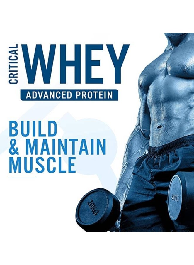 Applied Nutrition Applied Nutrition Critical Whey Protein Premium Protein Powder Chocolate Milkshake Flavour(450g) - Image 4