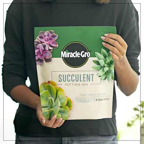 Miracle-Gro Succulent Potting Mix, For Indoor Succulents, Aloe Vera and More, Made with Miracle-Gro Plant Food, 4 qt - Image 3