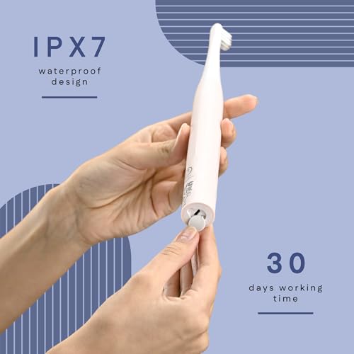 Winston Rechargeable Super Sonic Electric Toothbrush High-frequency Vibration 3-Cleaning Modes with upto 30 Day -IPX7 Waterproof - Image 5