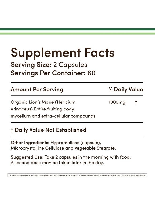 كبسولات فطر Lions Mane Supplement (إمدادات لمدة شهرين - 120 كبسولة) فطر Lions Mane لدعم الدماغ وصحة المناعة (تم اختباره من قبل جهة خارجية، وزراعته وتغليفه في الولايات المتحدة الأمريكية) من Double Wood - Image 2