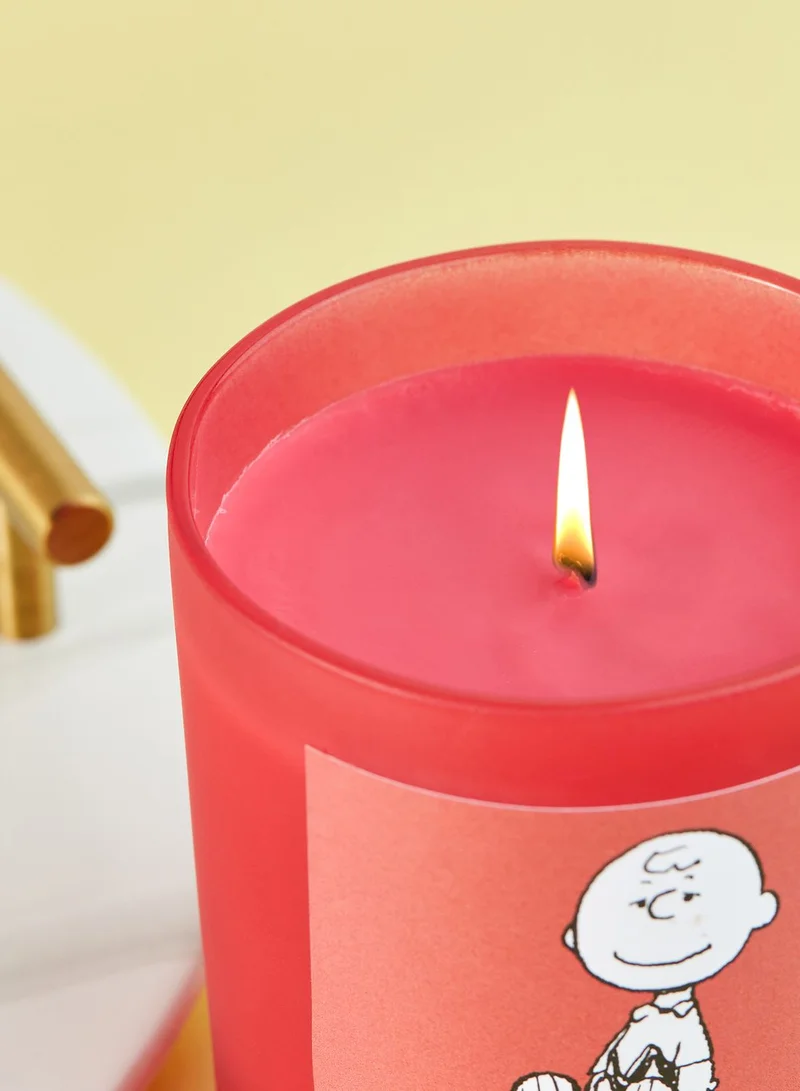 Flamingo Candles Peanuts Charlie Brown Popcorn Candle