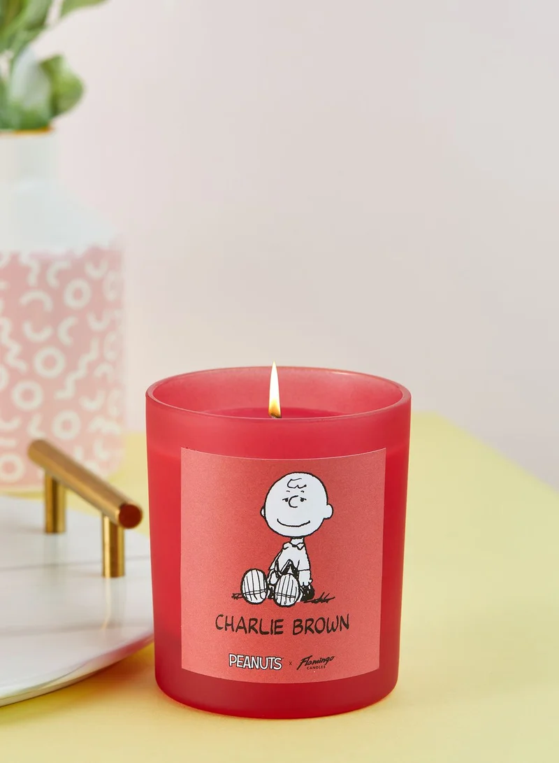 Flamingo Candles Peanuts Charlie Brown Popcorn Candle