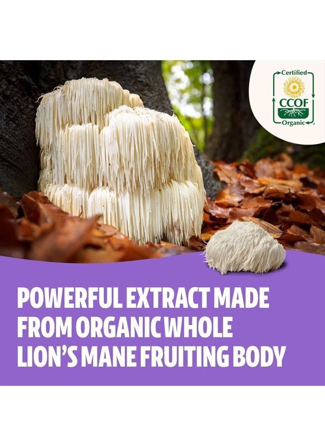 FreshCap Mushrooms - FreshCap Lion's Mane Mushroom Supplement - Cognition, Focus, Mental Clarity - Two Month Supply (120 Capsules) - Organic and Dual Extracted 1000 mg… - Image 1