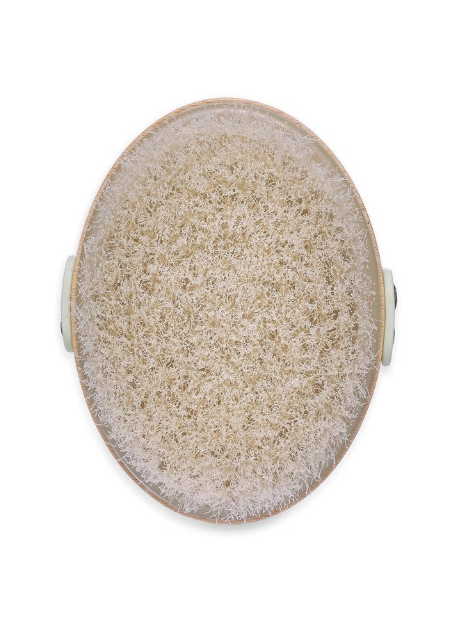 Earth Therapeutics Dry Brush - Image 3