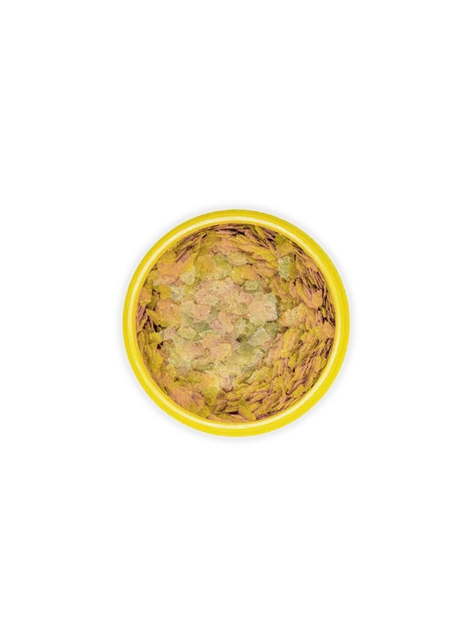 جي بي إل رقائق برونوفو الحمراء متوسطة - 250 مل - Image 2