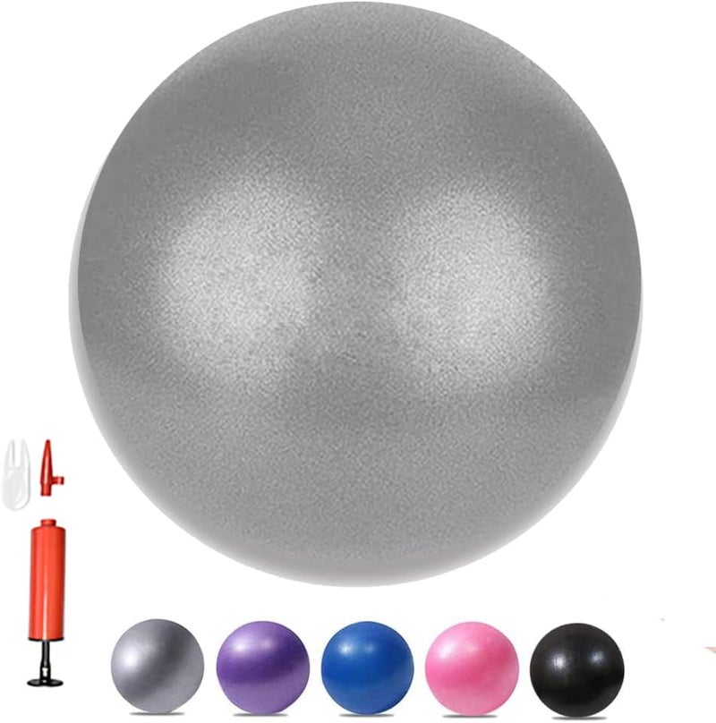 MOMPLUS 6 Inch Exercise Pilates Mini Yoga Balls Barre for Home Stability Squishy Training Physical Therapy Improves Balance with Pump - Image 1