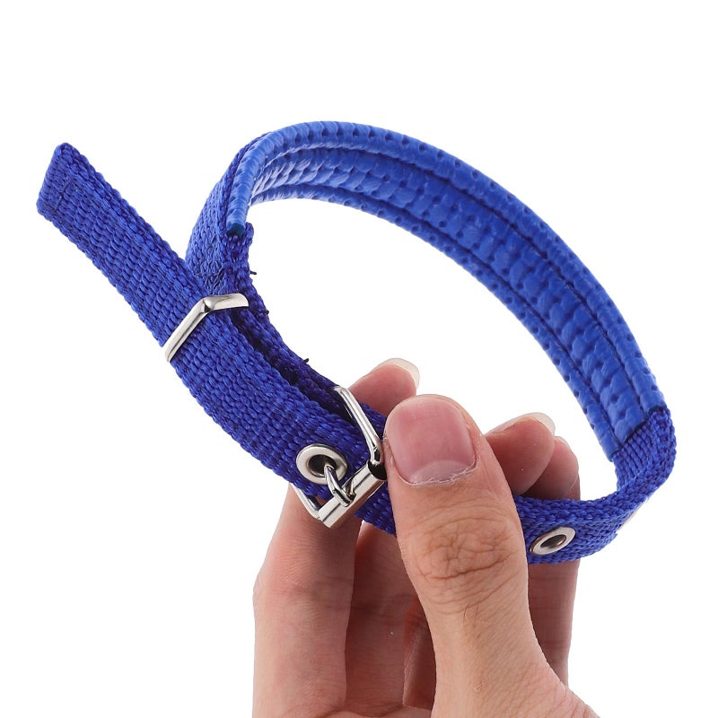 Blue Adjustable Foam Padded Pet Collar with Alloy Buckle for Outdoor and Party - Image 4