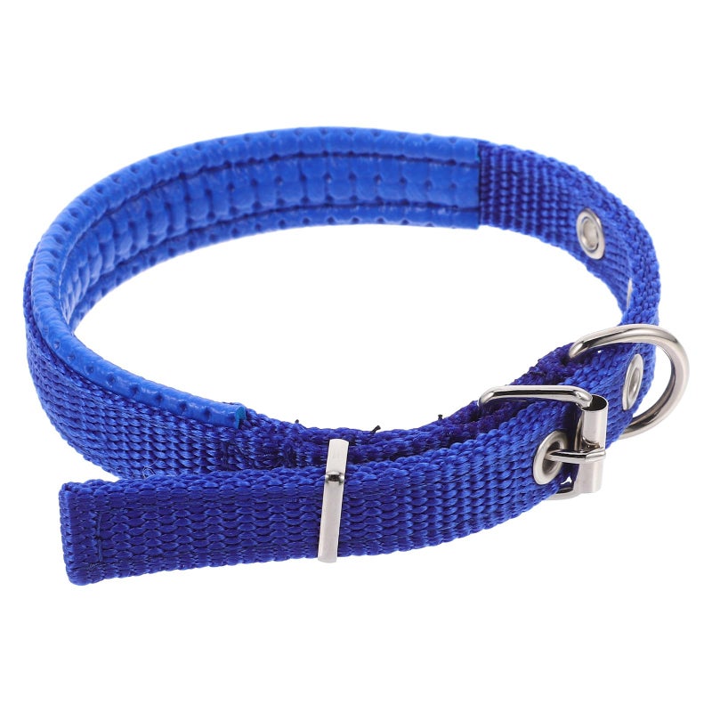 Blue Adjustable Foam Padded Pet Collar with Alloy Buckle for Outdoor and Party - Image 2