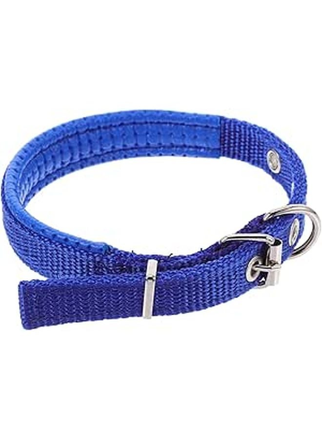 Blue Adjustable Foam Padded Pet Collar with Alloy Buckle for Outdoor and Party - Image 1