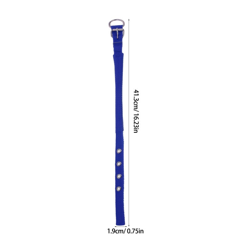 Blue Adjustable Foam Padded Pet Collar with Alloy Buckle for Outdoor and Party - Image 3