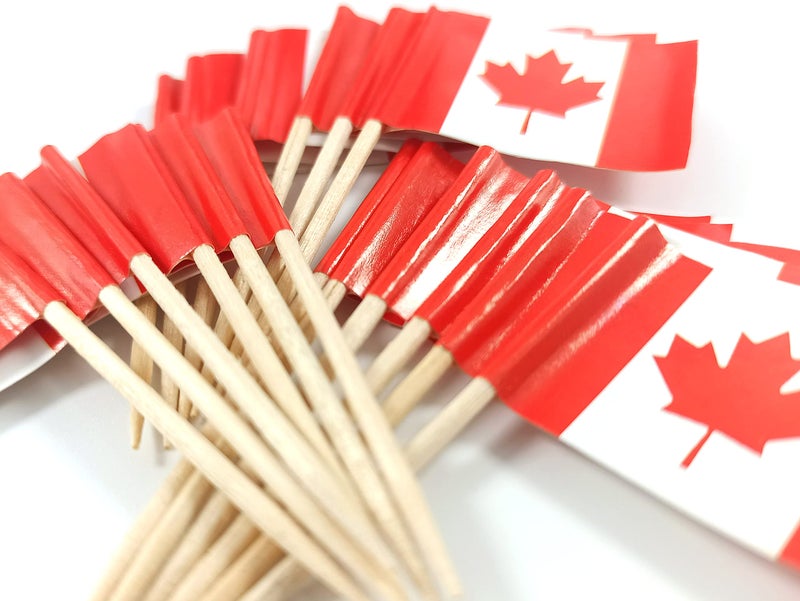 QQSD Canada Toothpick Flag Canadian Small Mini Cupcake Topper Flags,100 pcs - Image 4