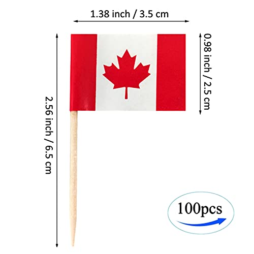QQSD Canada Toothpick Flag Canadian Small Mini Cupcake Topper Flags,100 pcs - Image 2