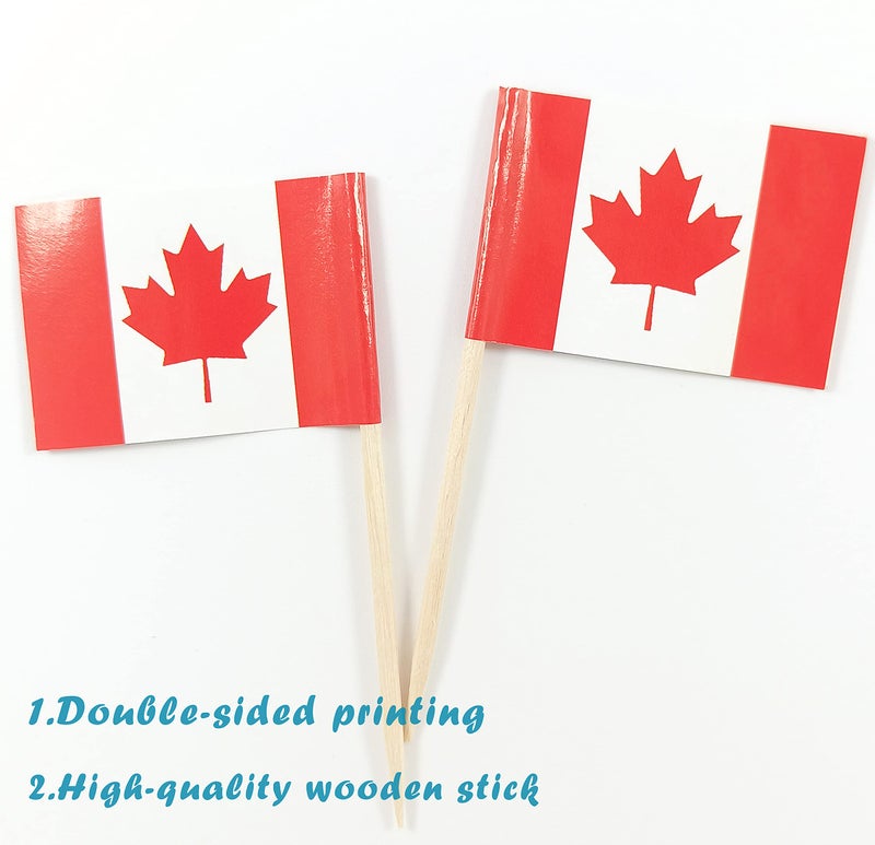 QQSD Canada Toothpick Flag Canadian Small Mini Cupcake Topper Flags,100 pcs - Image 3