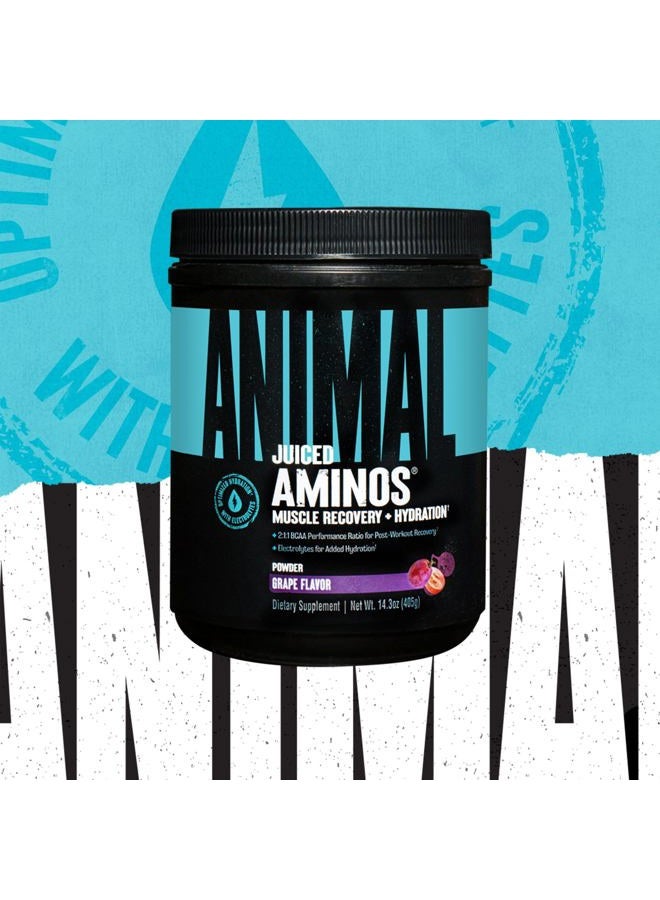 ANIMAL Juiced Amino Acids - BCAA Powder EAA Matrix Plus Hydration with Electrolytes and Sea Salt Anytime Recovery and Improved Performance, Grape Flavor, 30 Servings - Image 2