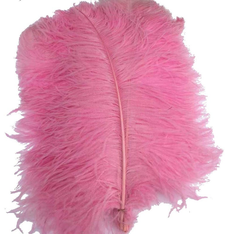 Shekyeon Pink 1618inch 4045cm Ostrich Feather DIY Craft Feather Pack of 10