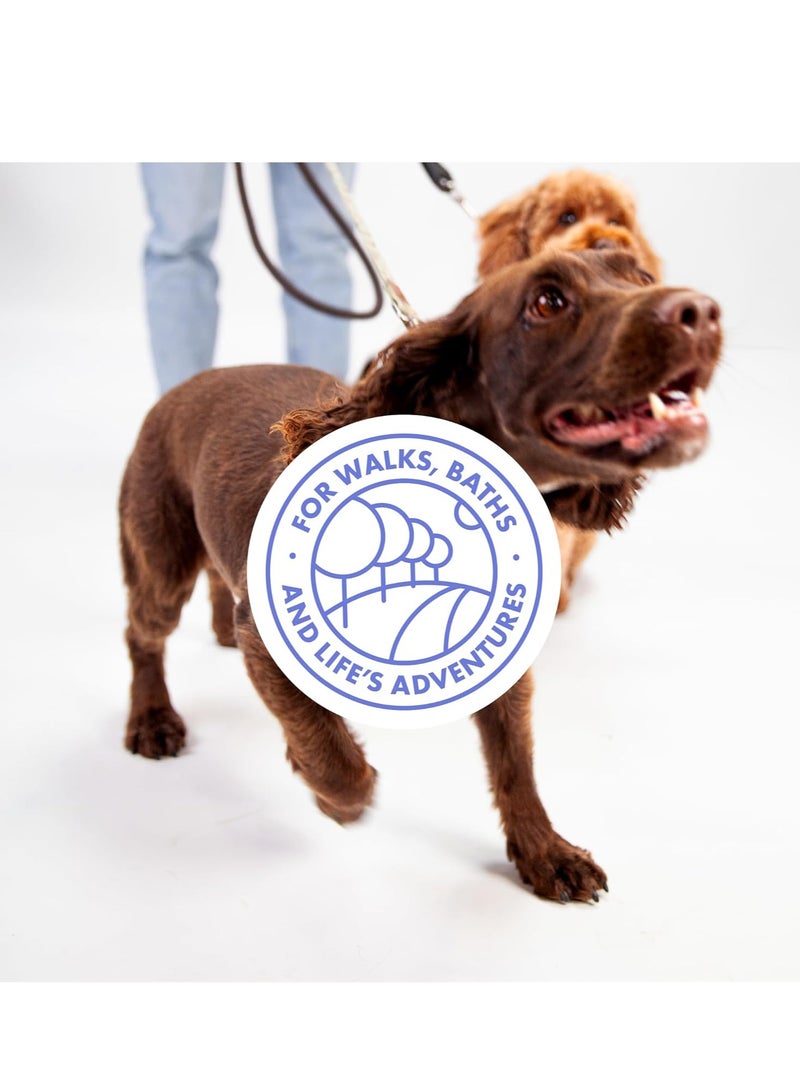 دوت مناشف الكلاب الصديقة للبيئة 20 منشفة تجفيف للكلاب قابلة للتحلل الحيوي فائقة الامتصاص سريعة الجفاف حائزة على جوائز مناسبة لمشي الكلاب مناشف تجفيف الكلاب والسفر مناشف طبيعية 100% للحيوانات الأليفة - Image 5