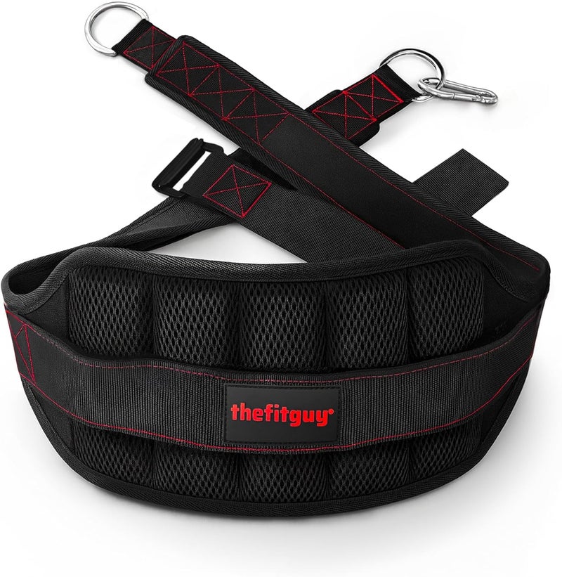 THEFITGUY Ultimate Belt for Belt Squats and Rack Attachment with Structured Back Support - Image 1