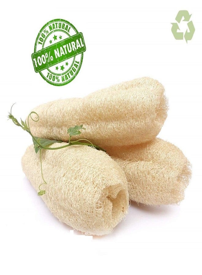 SSKR Natural Organic Body Scrubber Loufah Sponges for Bathing (Pack of 5) - Image 5